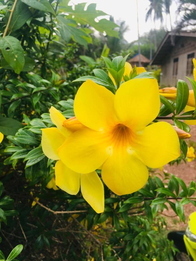 Happy Home Kohjum ジュム島 エクステリア 写真